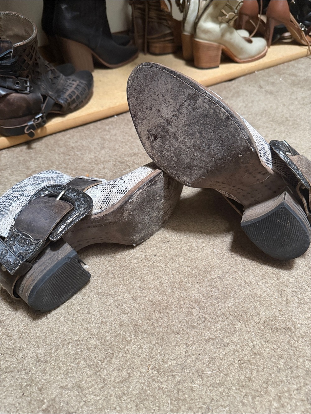 Freebird by Steven Snakeskin Leather Ankle Boots with Brown Straps - Picture 6 of 6